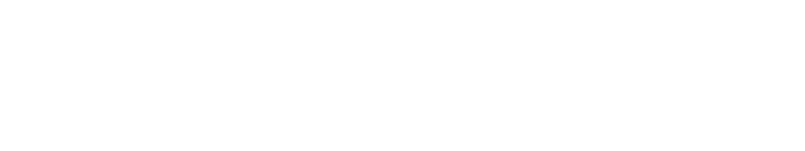 OLMARA AGENCY